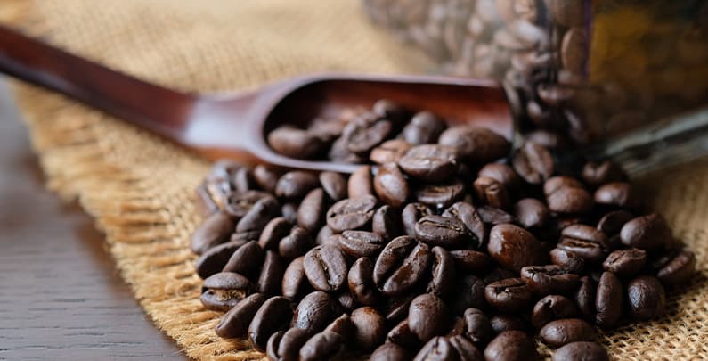 Coffee beans are the seeds of a plant. They are an essential component of a great cup of coffee and provide a lot. Read this guide to learn more about them.